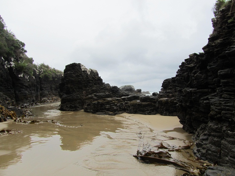 IMG_2208 Tautuku Bay (15)