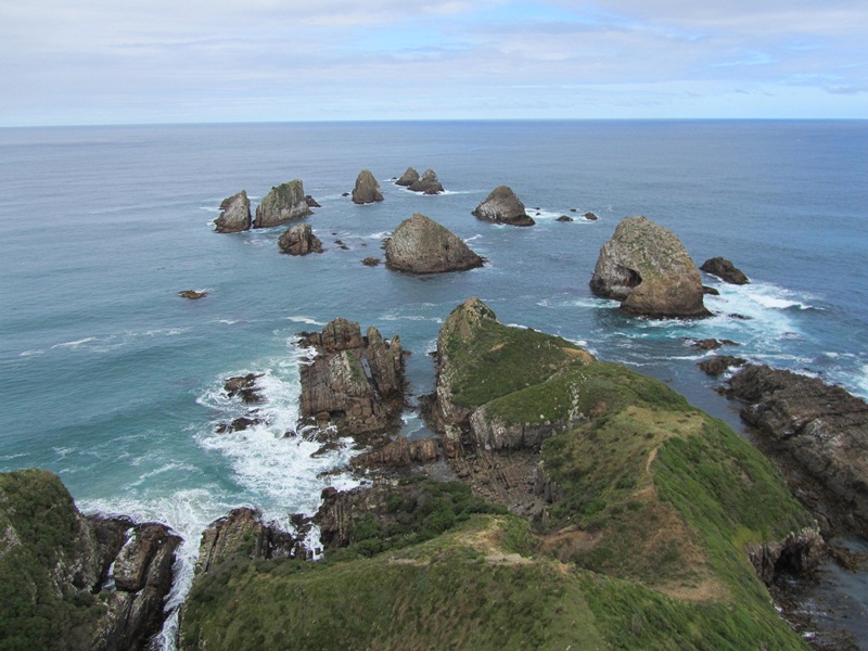 IMG_2315 Nugget Point,Catlins (26)