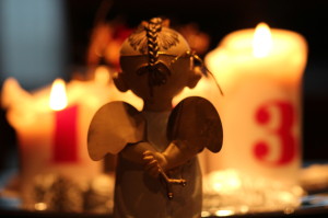 Foto Nr. 2, Bengel, IMG_3811