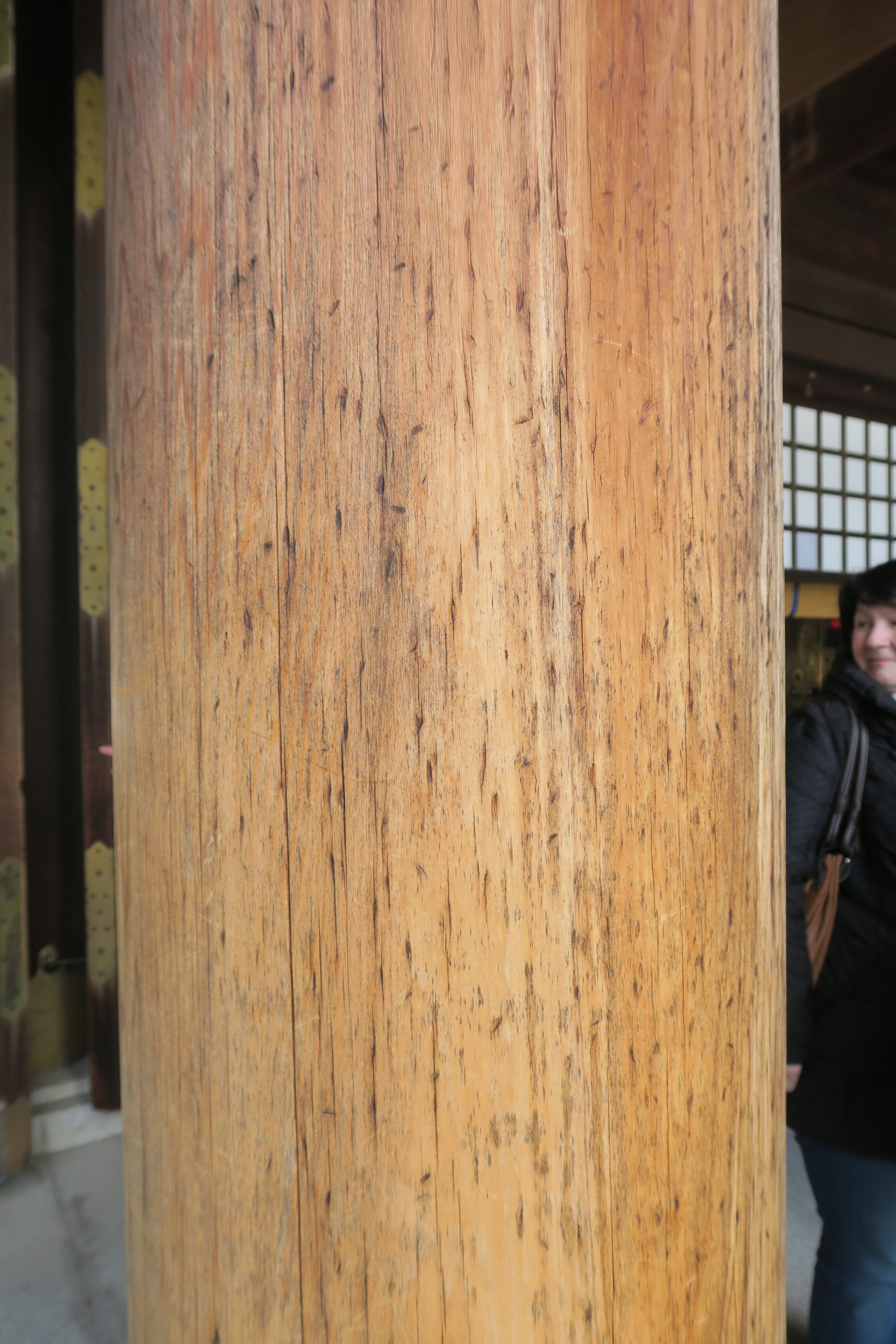 02.J.Tokio 22.03.2016.IMG_3877 (25)